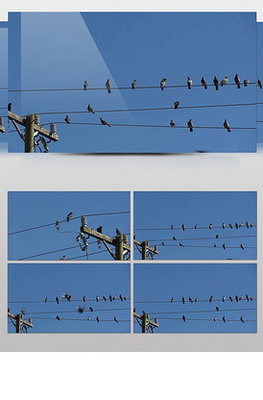 電線(xiàn)桿圖片素材與電纜設(shè)計(jì)模板 VIP素材資源集錦